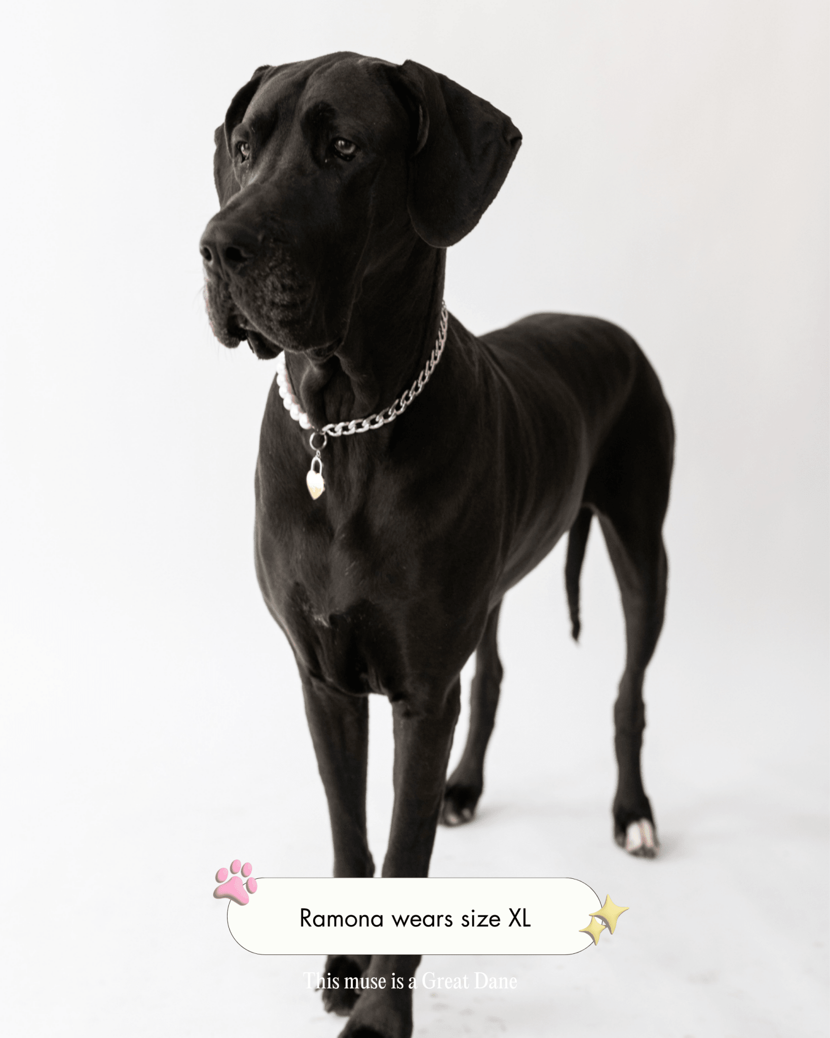 The Lola Necklace