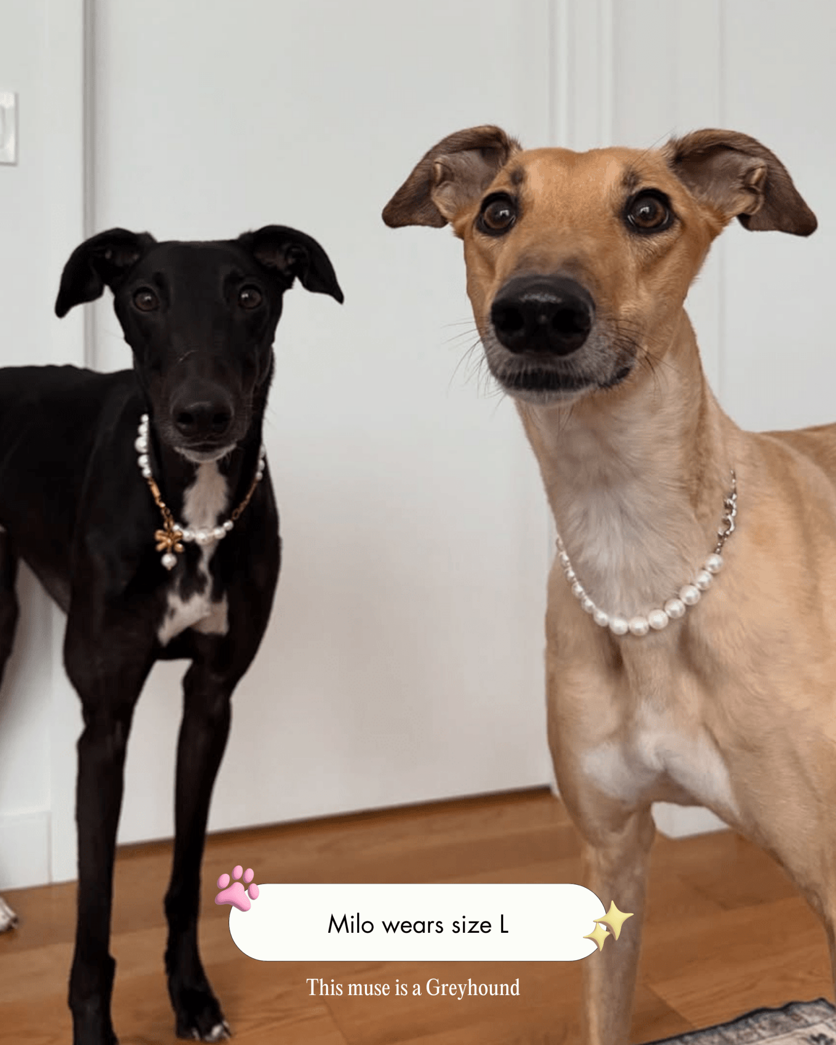 The Zoe Necklace