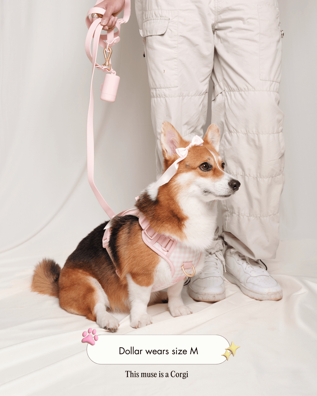 Wander! Bow Harness 2.0 - Blossom Gingham