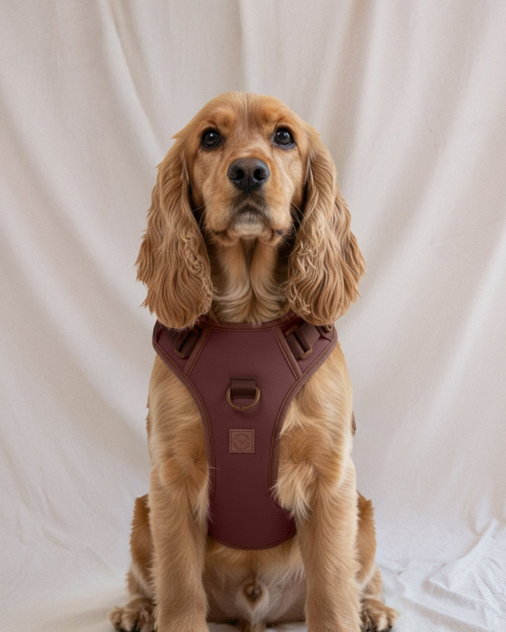 Wander! Bow Harness 2.0 - Cocoa