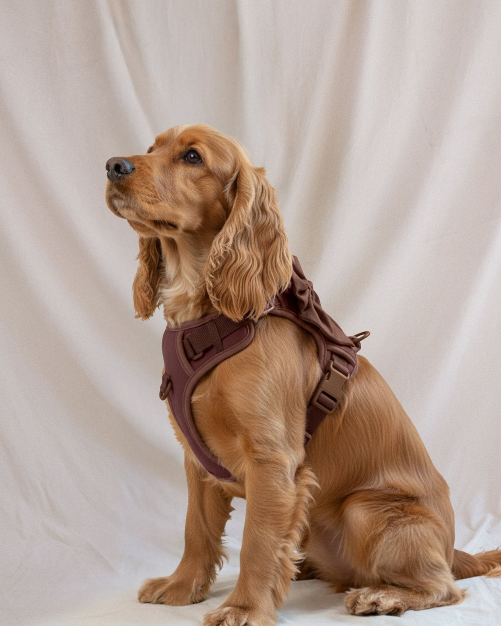Wander! Bow Harness 2.0 - Cocoa