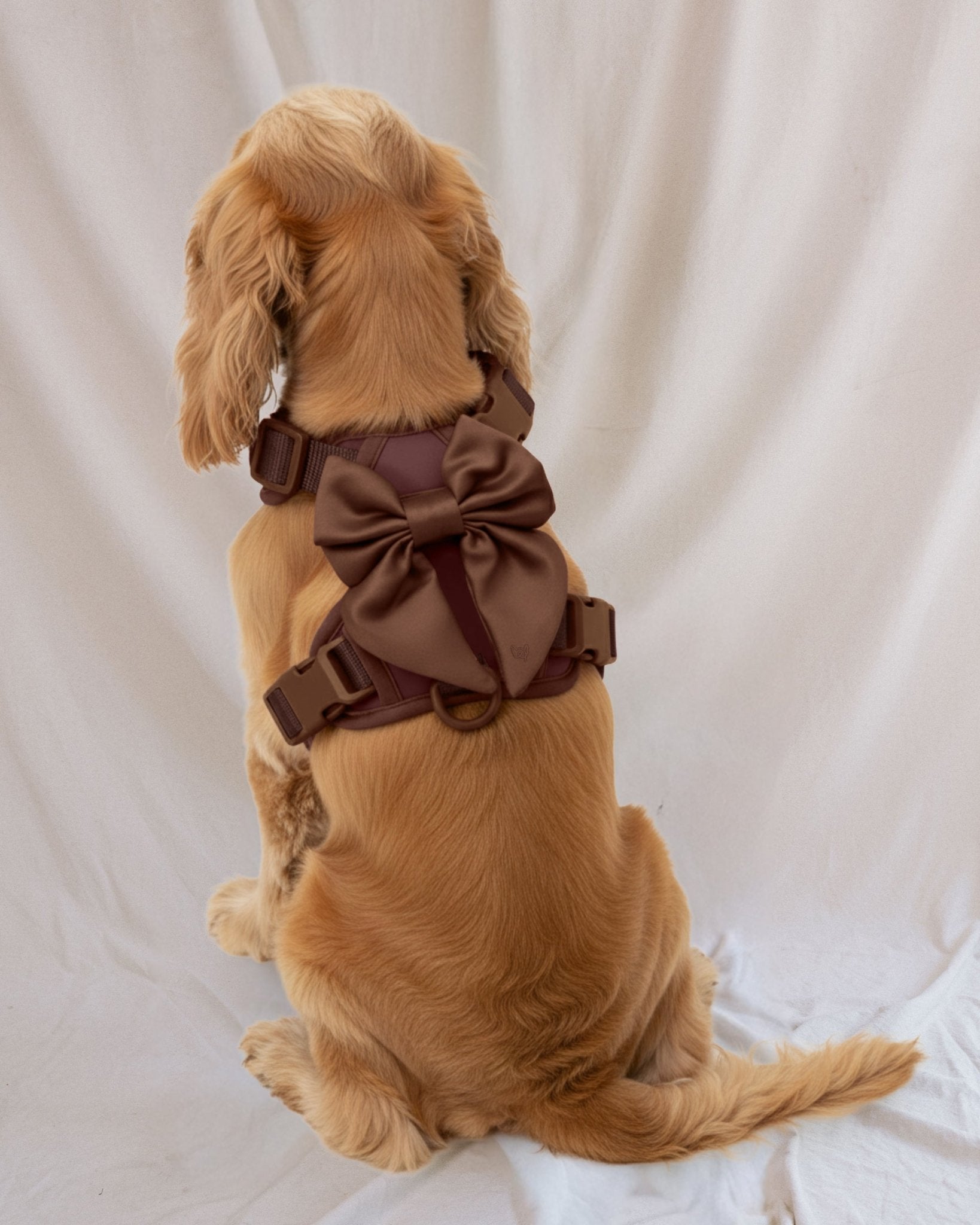Wander! Bow Harness 2.0 - Cocoa