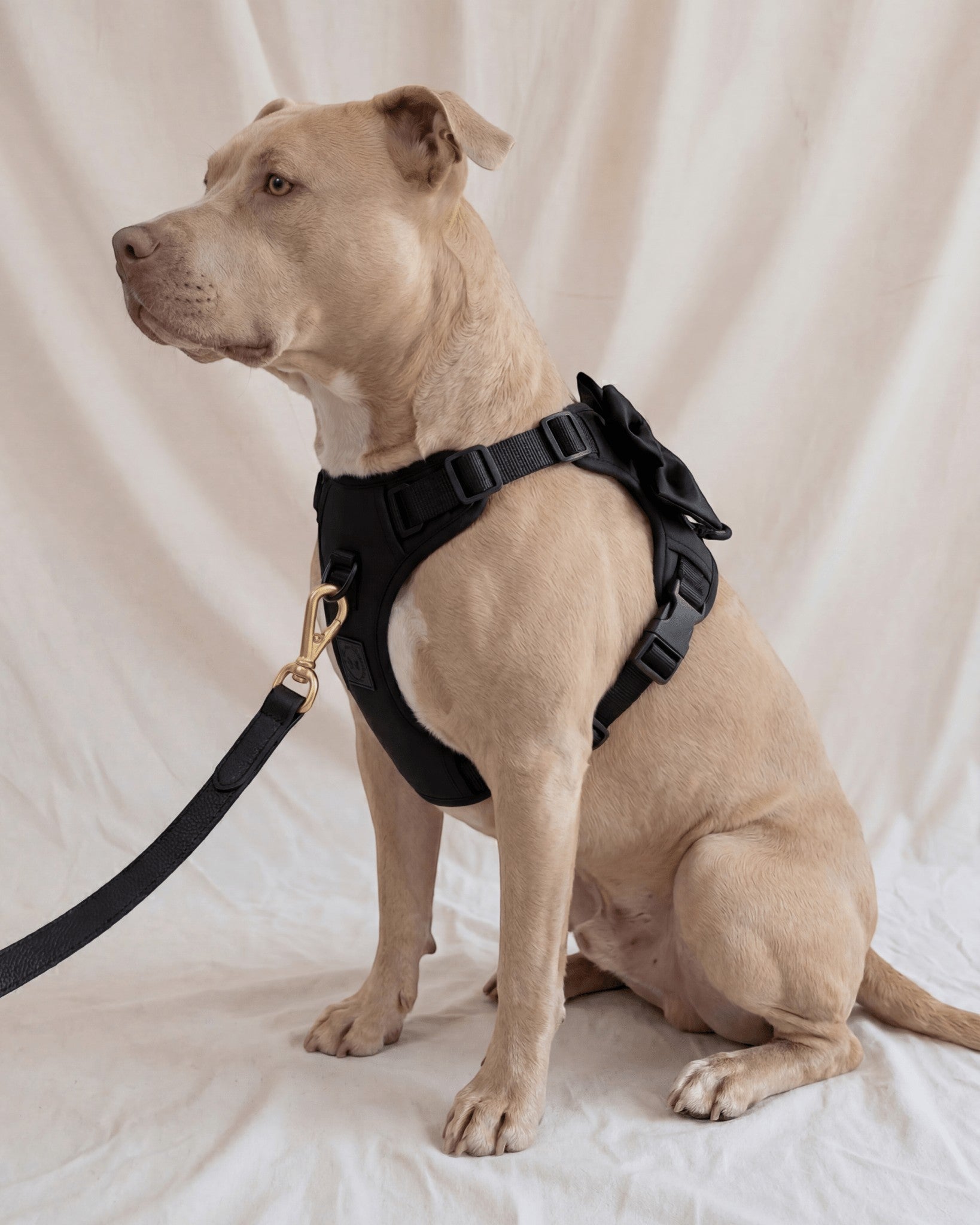 Wander! Bow Harness 2.0 - Midnight