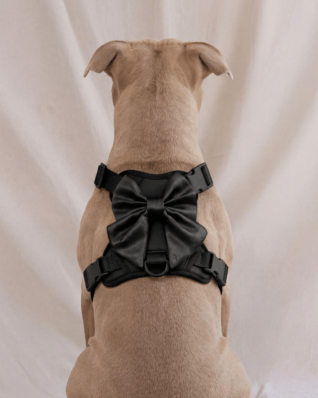Wander! Bow Harness 2.0 - Midnight