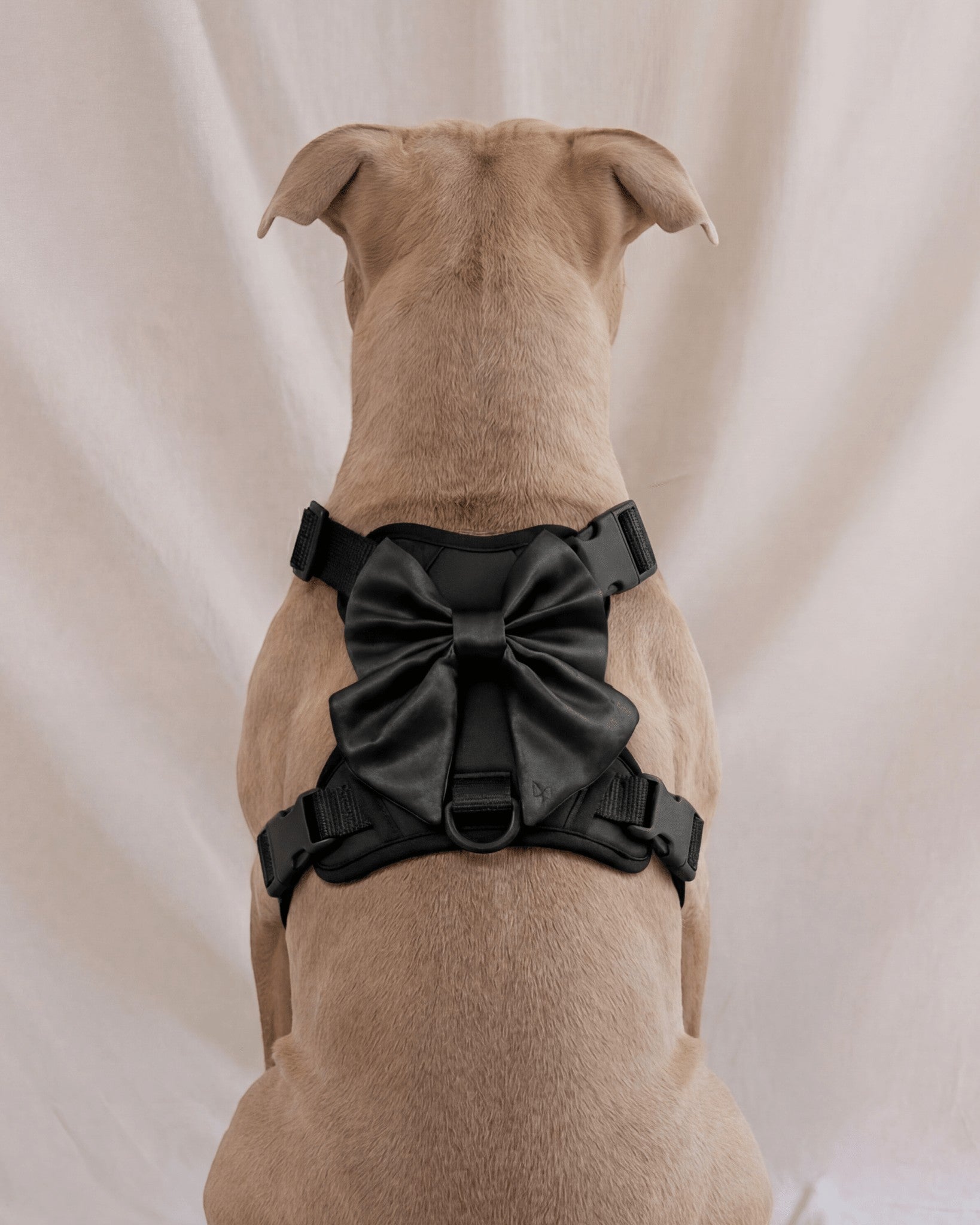 Wander! Bow Harness 2.0 - Midnight