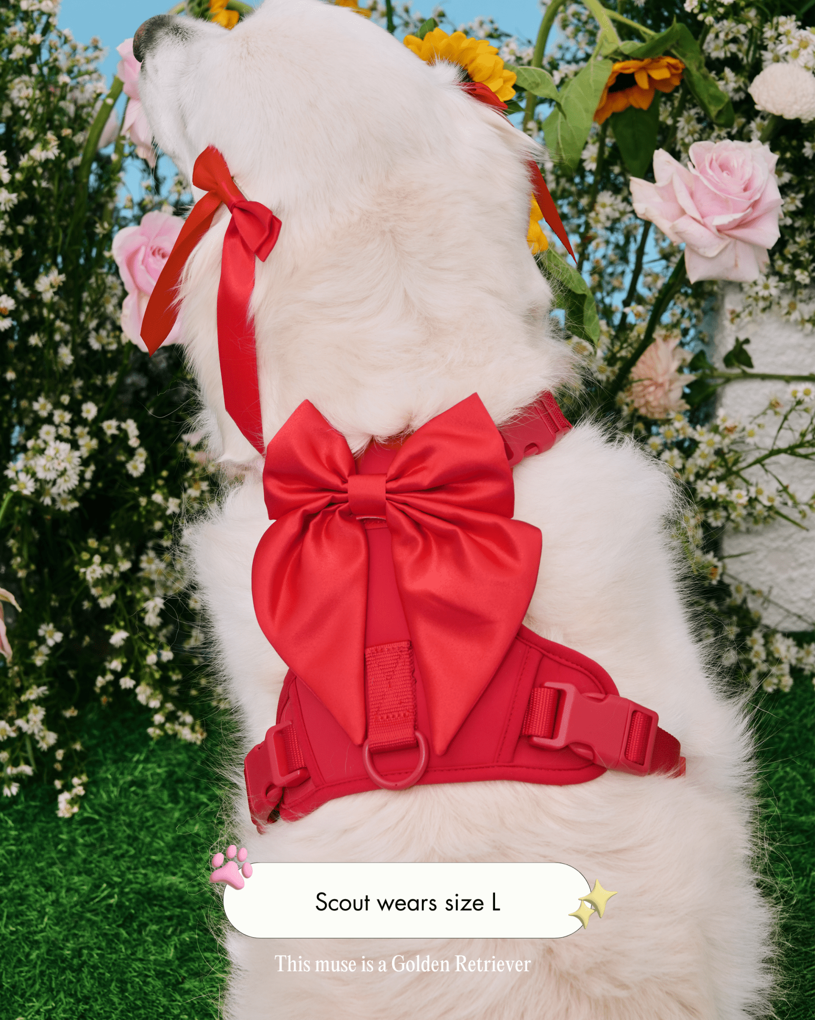 Wander! Bow Harness 2.0 - Cherry