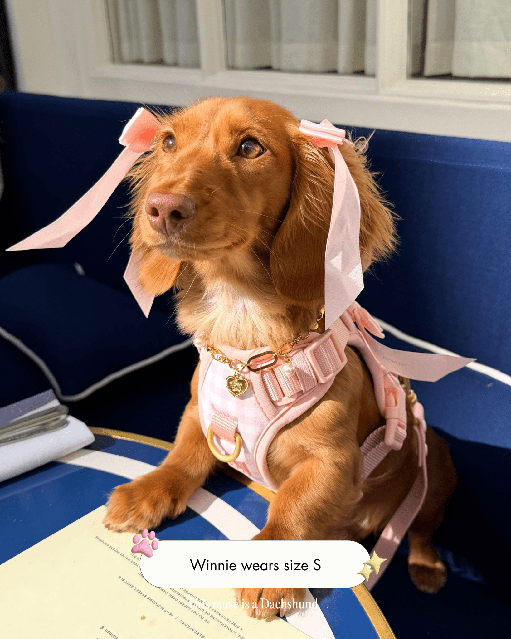 Wander! Bow Harness 2.0 - Blossom Gingham