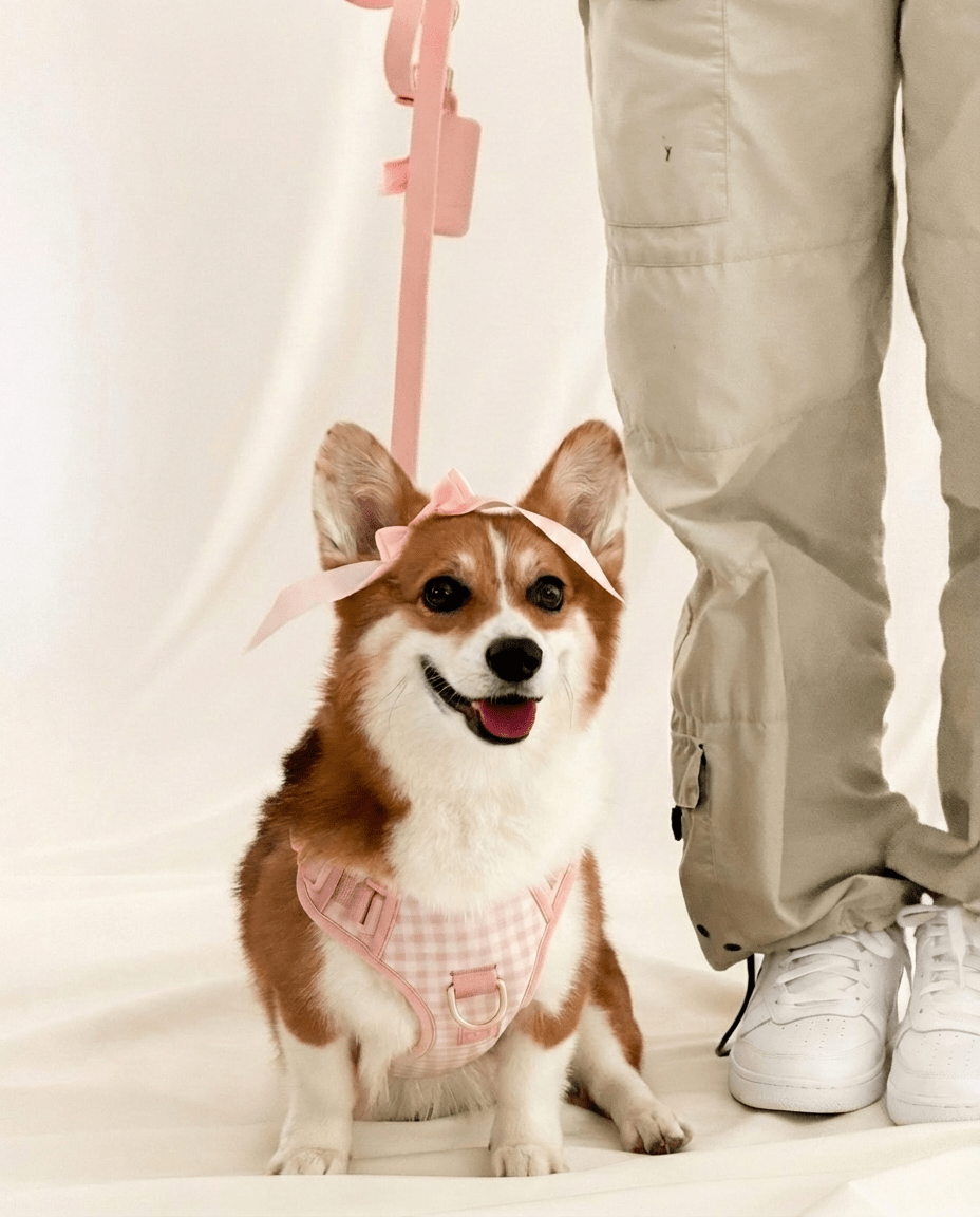 Wander! Bow Harness 2.0 - Blossom Gingham