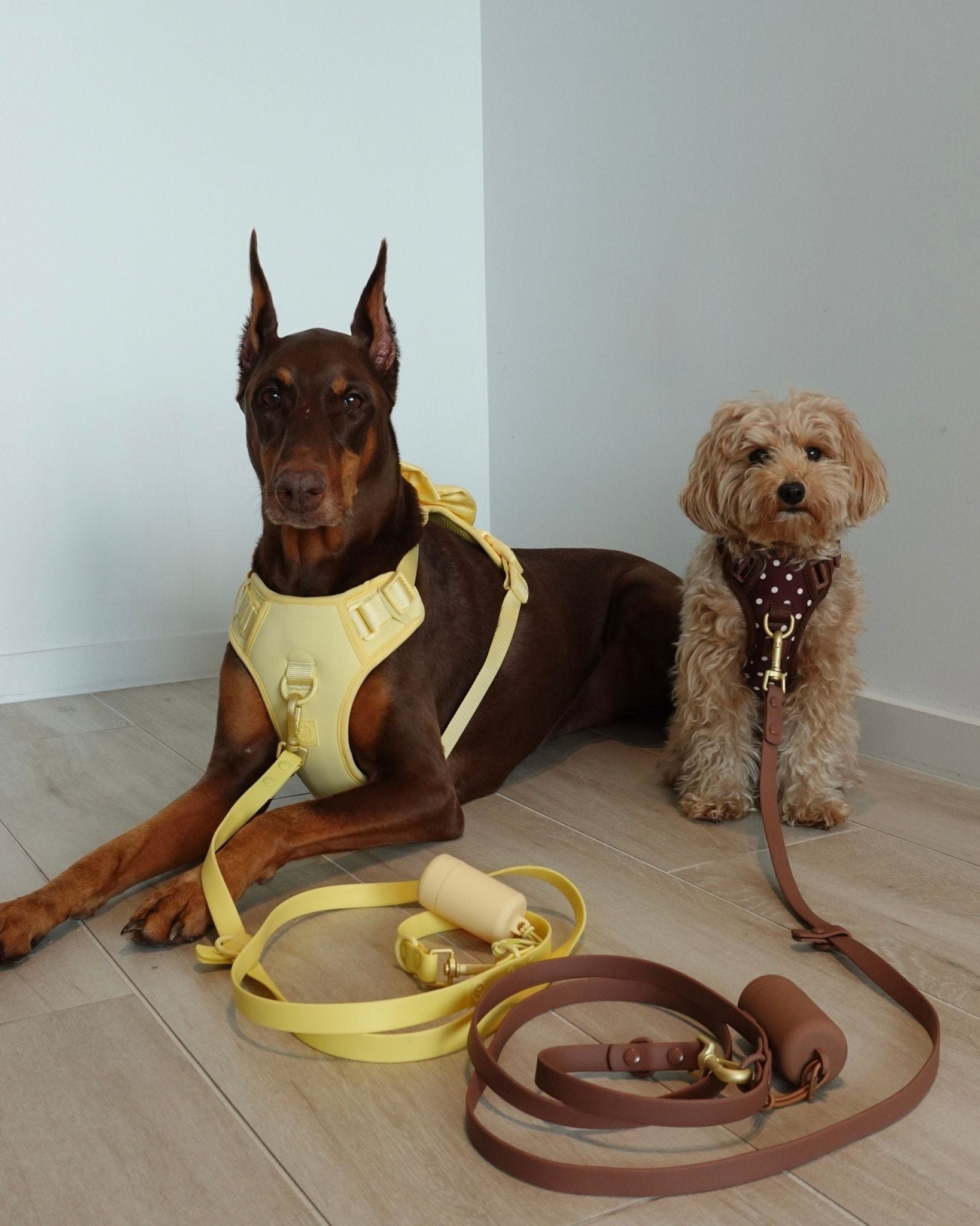 Wander! Multiway Leash - Buttercream