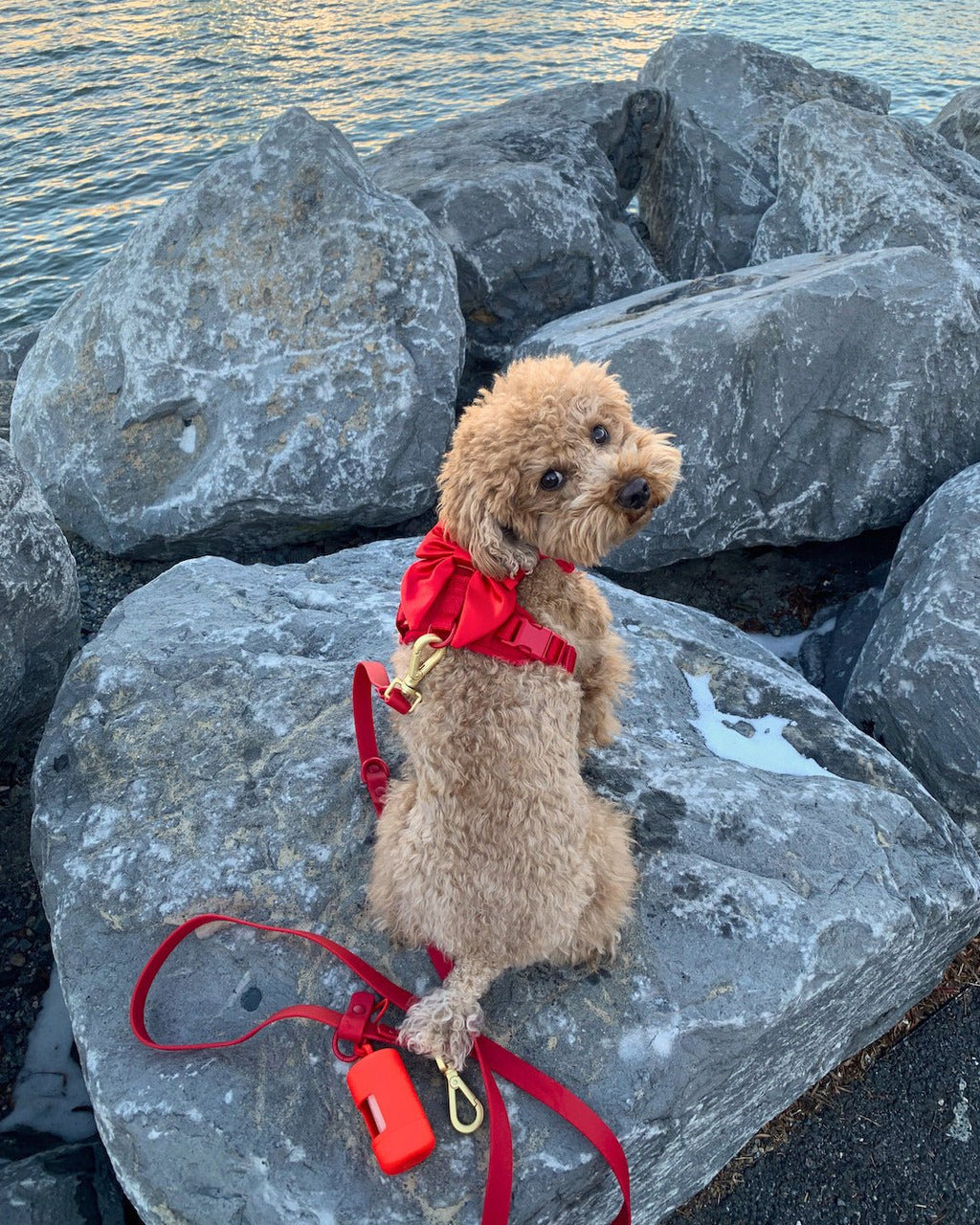 Wander! Poop Bag Pouch - Cherry
