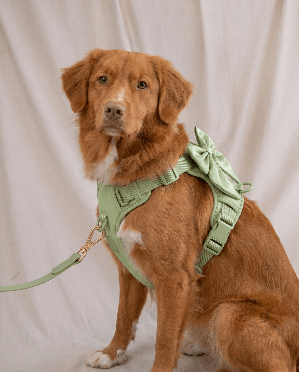 Wander! Multiway Leash - Matcha