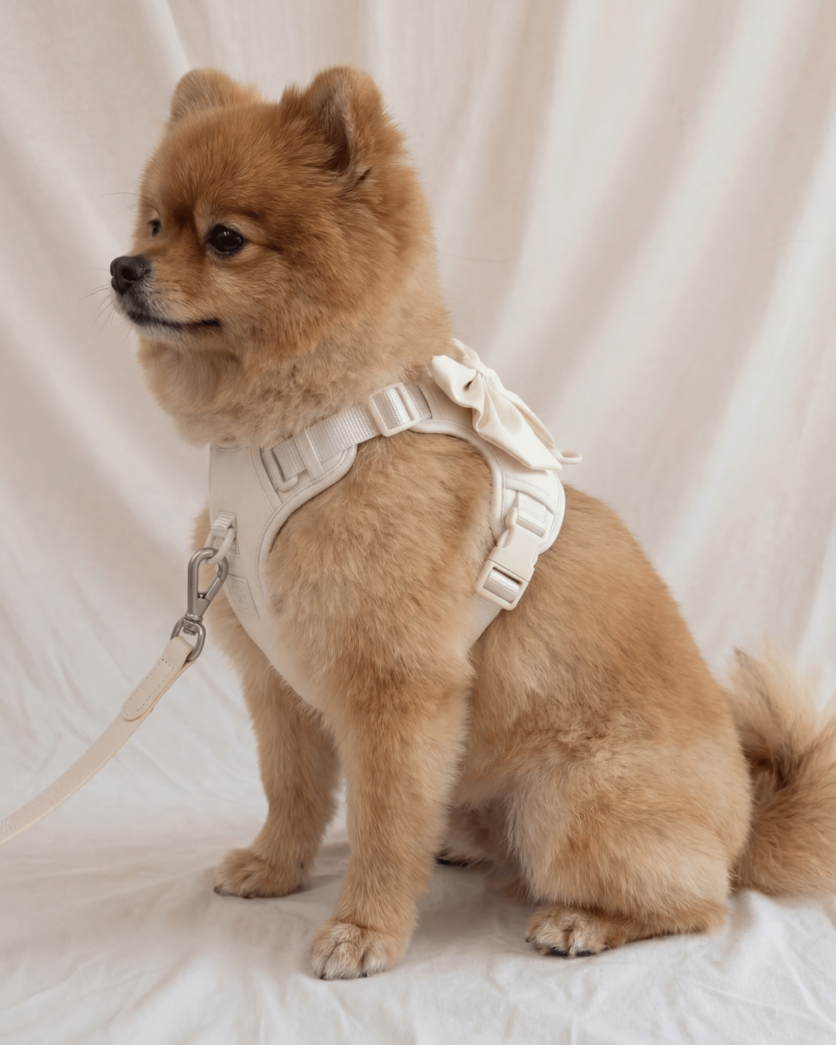 Wander! Multiway Leash - Pearl