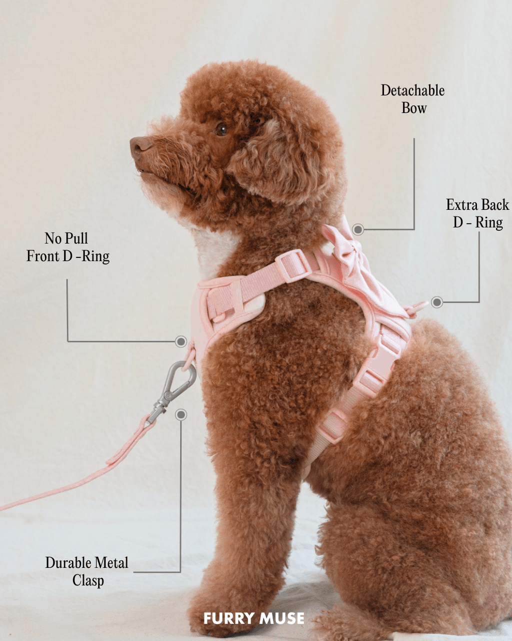 Wander! Bow Harness 2.0 - Leopard