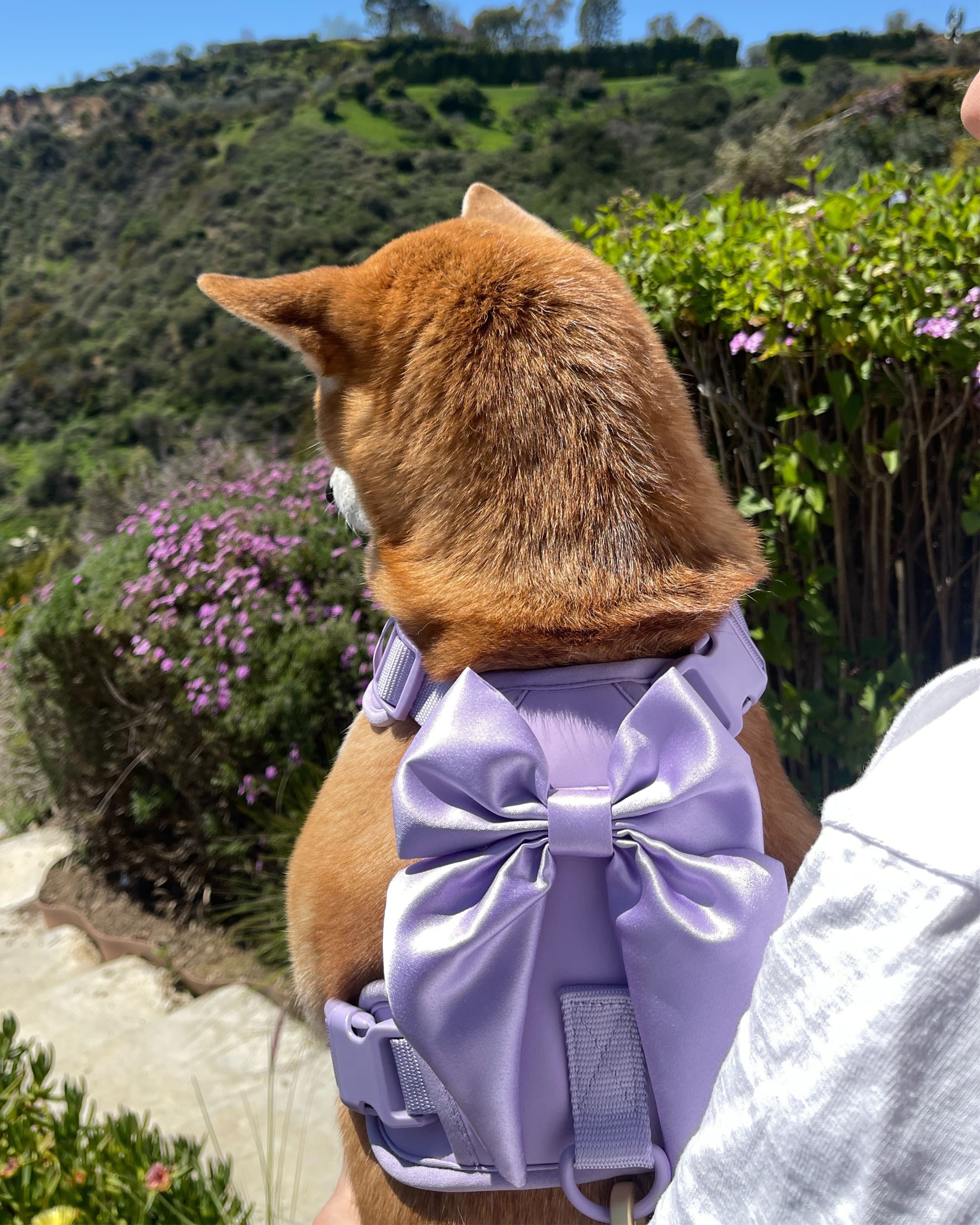 Satin Harness Bow - Lilac