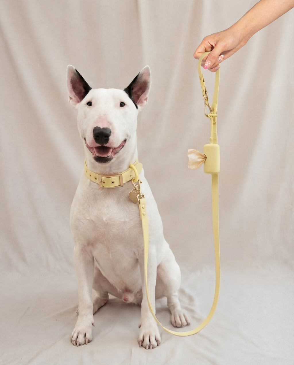Wander! Collar 2.0 - Buttercream
