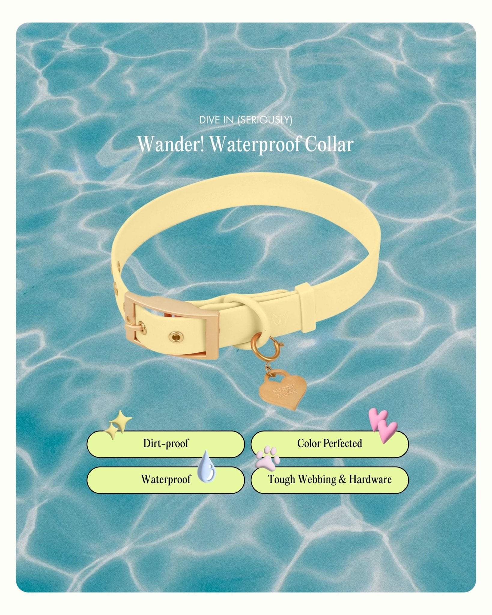 Wander! Collar 2.0 - Buttercream