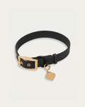 Wander! Collar 2.0 - Midnight