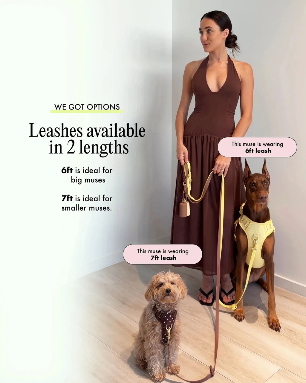 Wander! Multiway Leash - Lilac