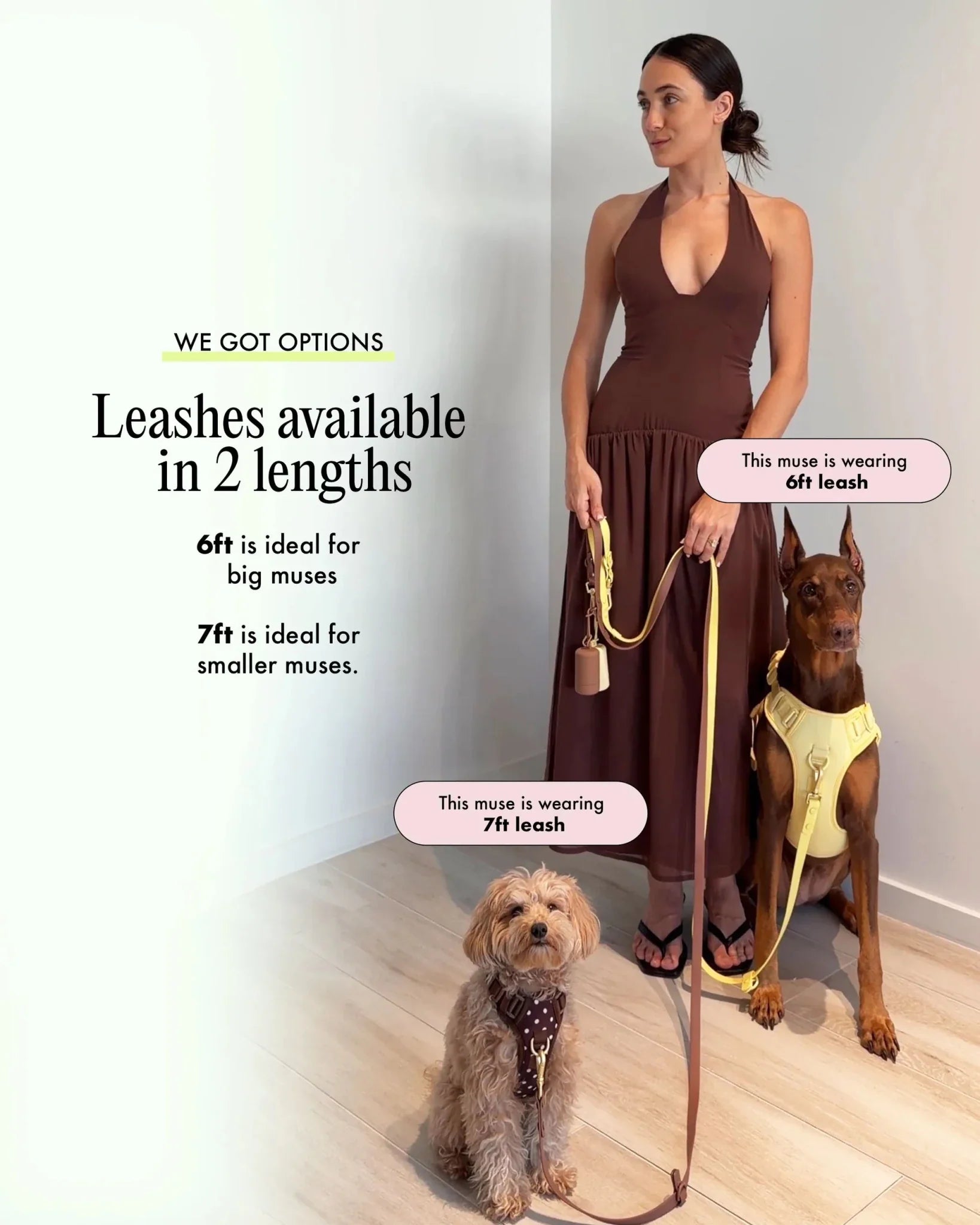 Wander! Multiway Leash -  Latte