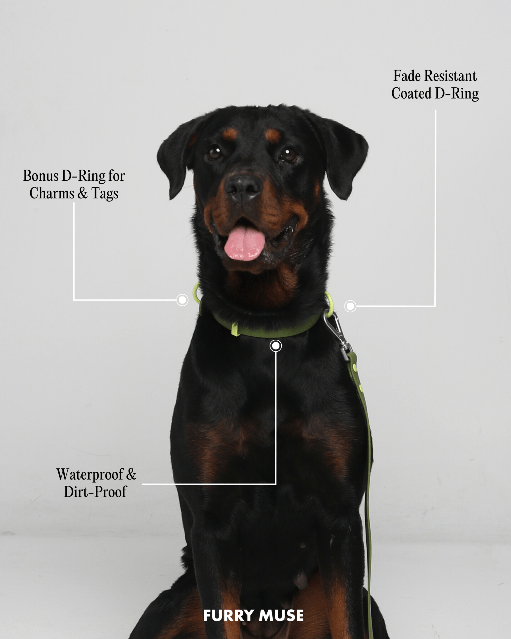 Wander! Multiway Leash - Bubblegum