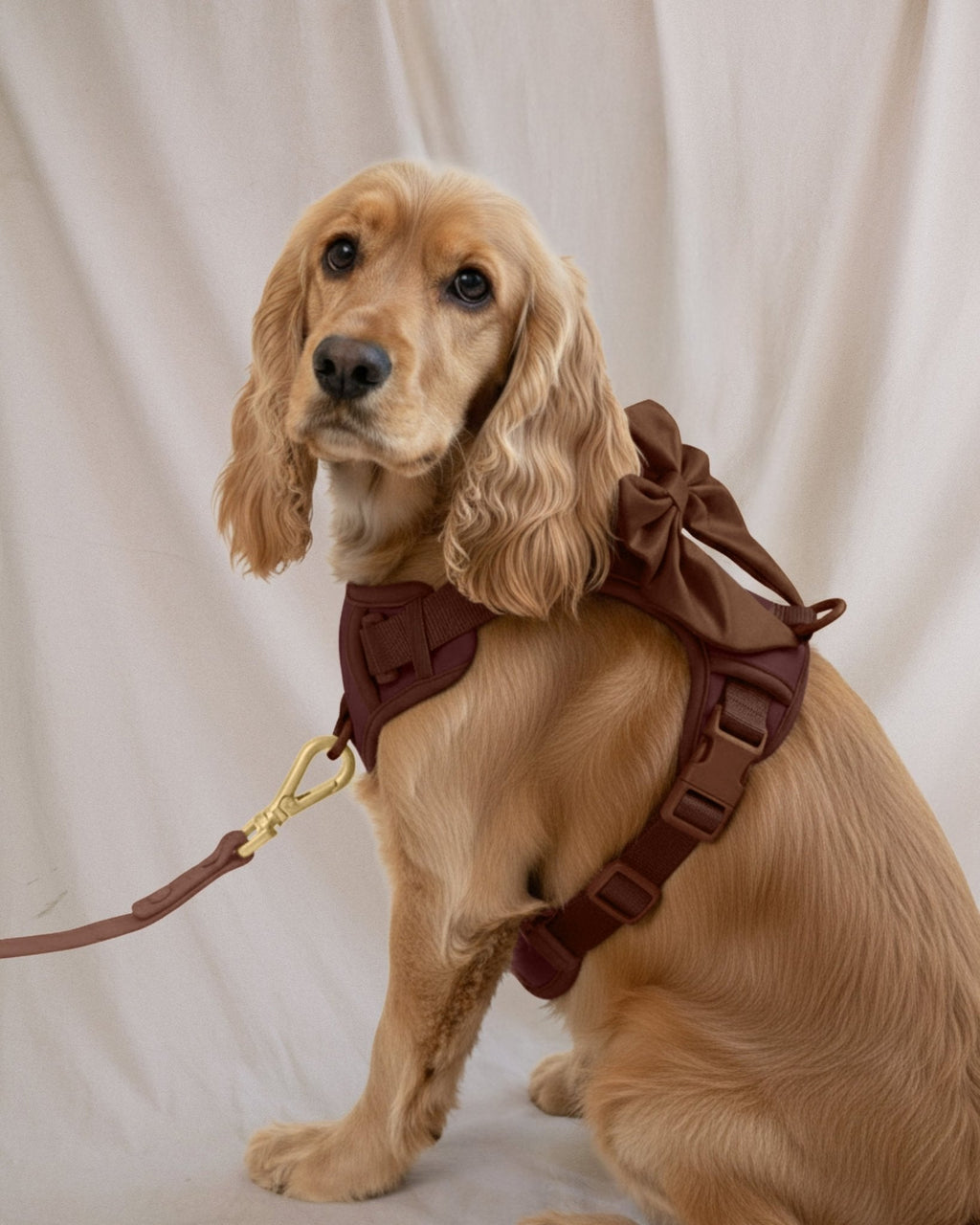 Wander! Multiway Leash - Cocoa