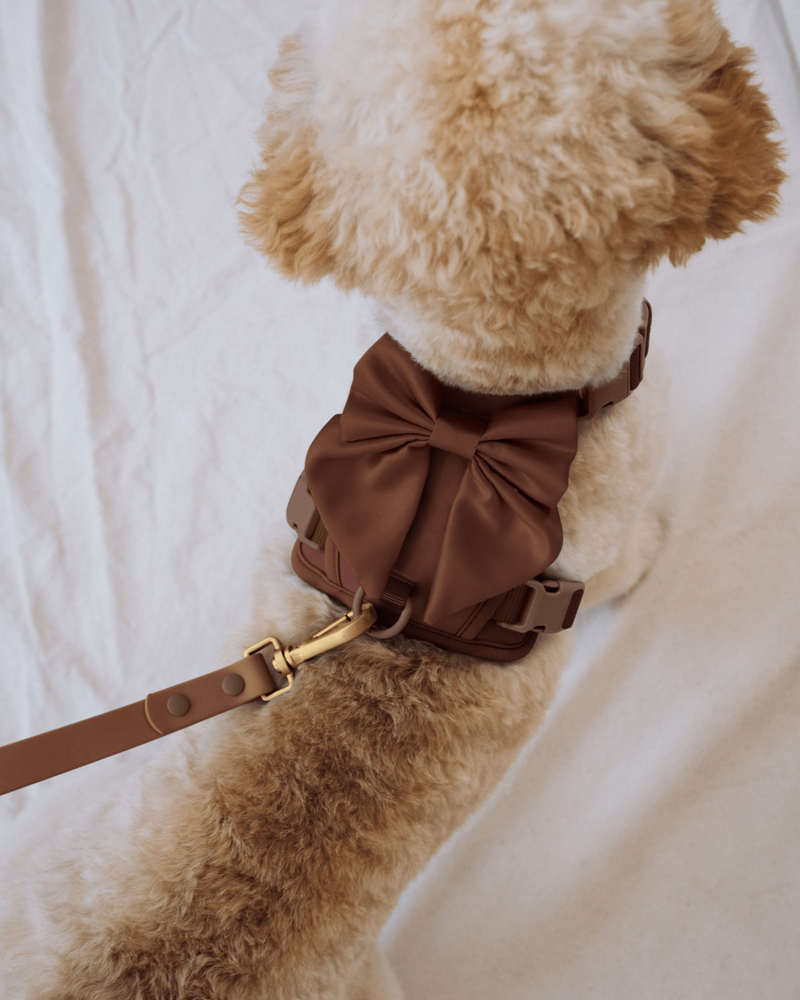 Wander! Bow Harness 2.0 - Cocoa