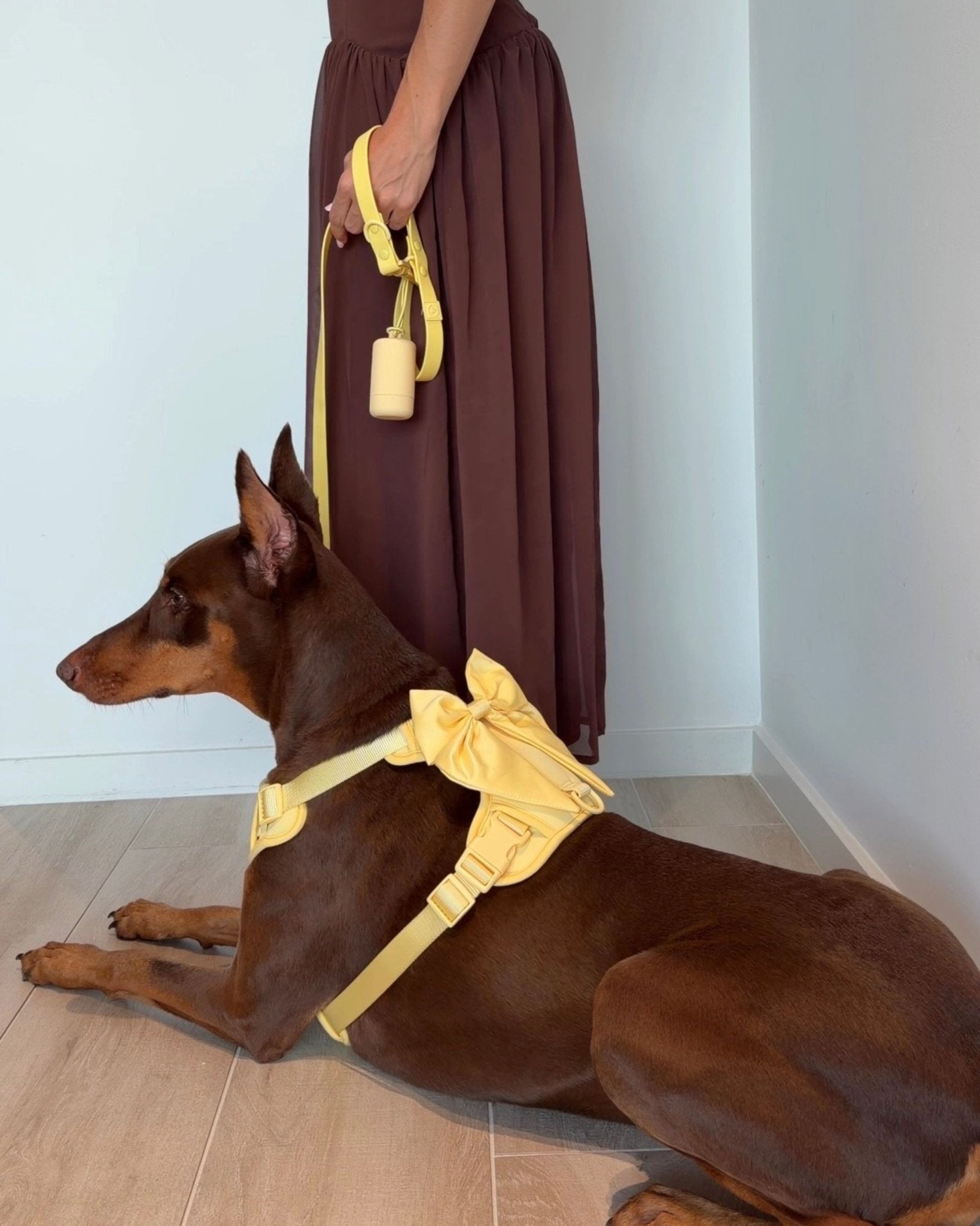 Wander! Multiway Leash - Buttercream