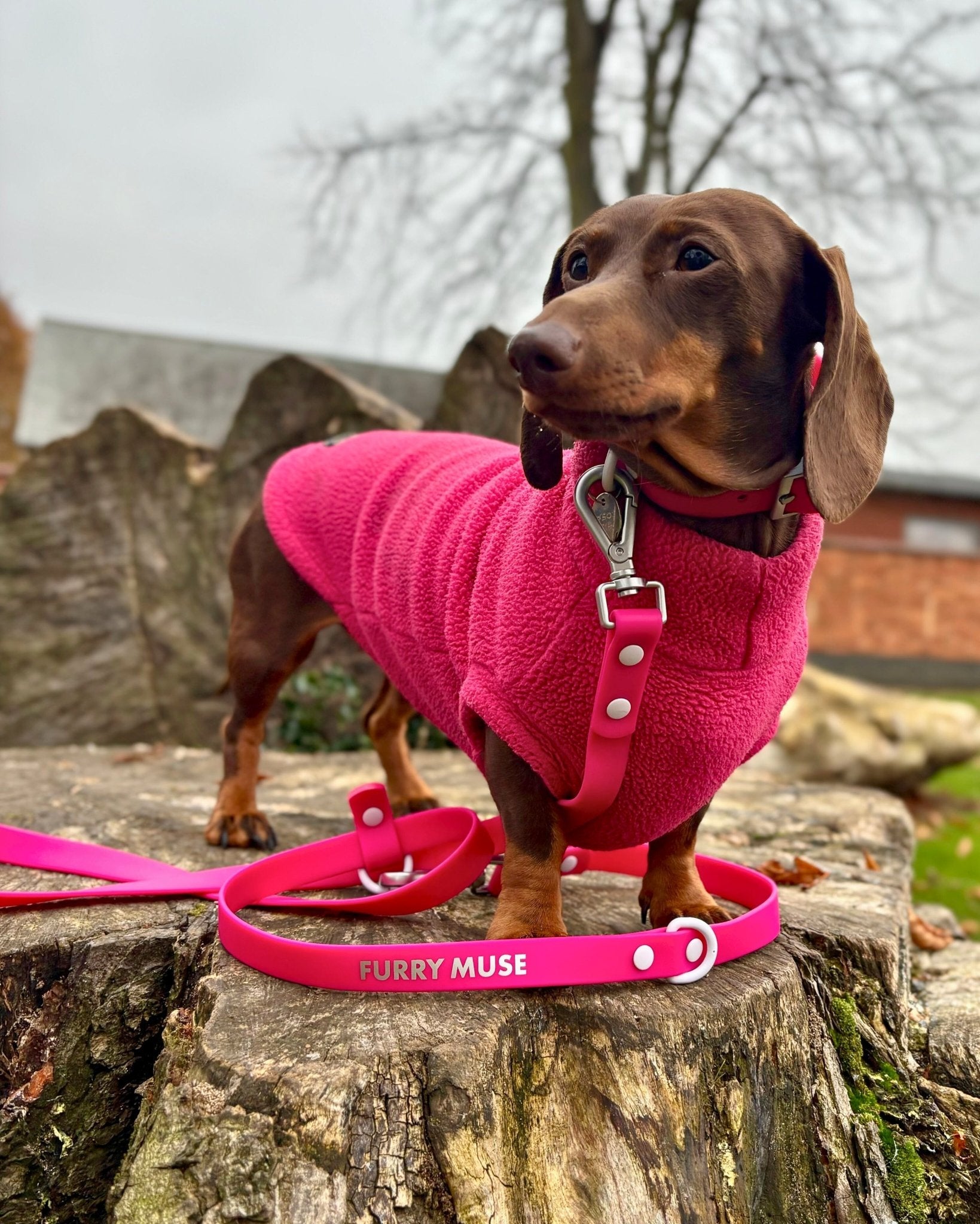Wander! Multiway Leash - Bubblegum