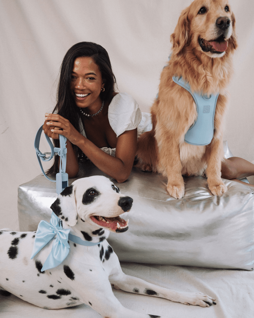 Wander! Multiway Leash -  Sky